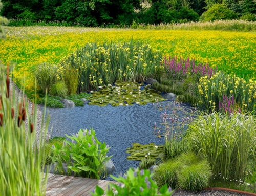 Un giardino didattico al ritmo delle stagioni
