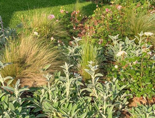Giardino dal sentore inglese di una villetta in Brianza