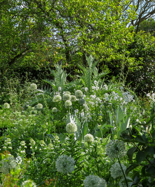 White garden a Sissinghurst Castle Garden