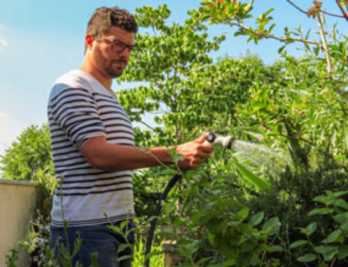 7 consigli utili su come irrigare il giardino e il terrazzo in modo sostenibile