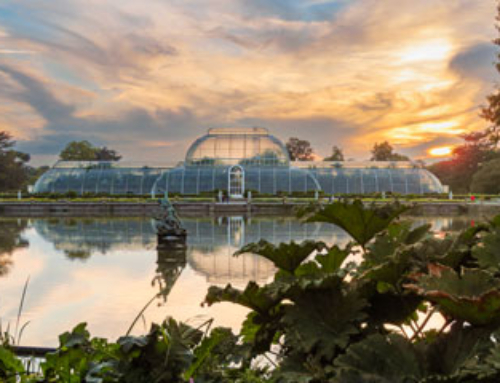 Kew Gardens, uno dei giardini botanici più belli al mondo