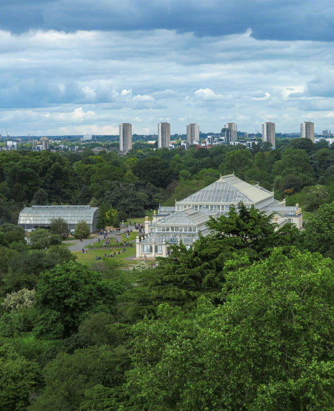 Kew Garden, l'orto botanico più bello al mondo