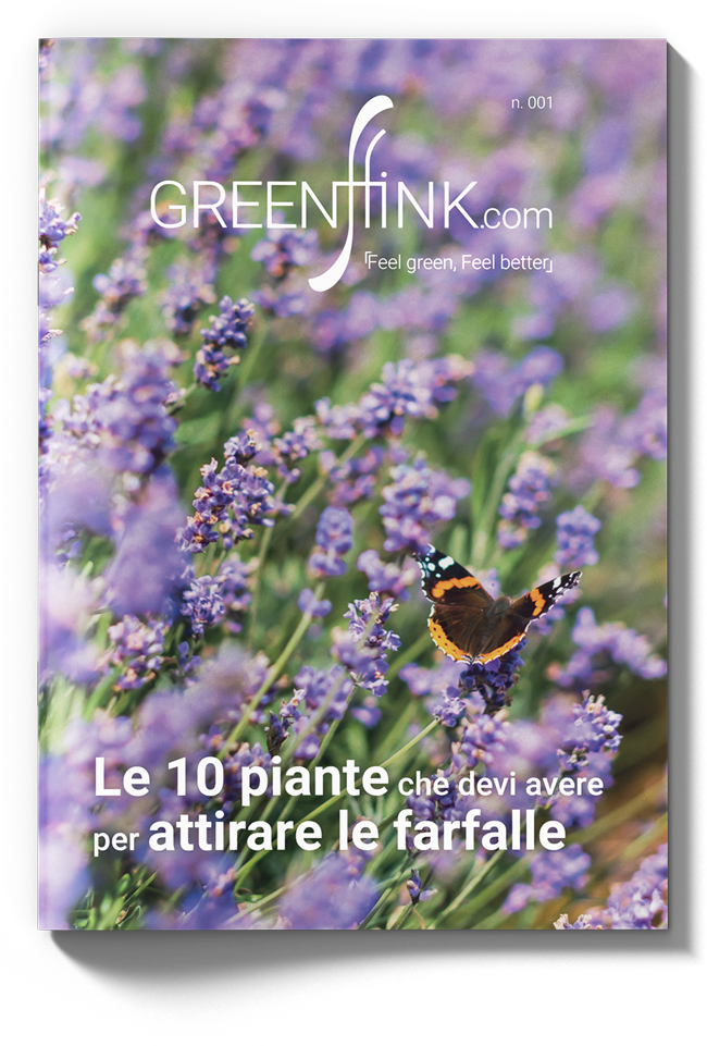 iscriviti alla newsletter - Green FFink