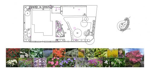 Progettazione e realizzazione giardino di medie dimensioni